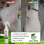 สเปรย์ฉีด แผล ผื่นแดง เชื้อรา ผิวหนังอักเสบแมว ผิวหนังอักเสบสุนัข