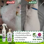 ชุดรักษาโรคผิวหนัง ผื่นแดง ตุ่ม หนอง ขี้เรื้อน แชมพูมังคุด 250 ml +สเปรย์ 210ml