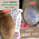 Spray, wound, red rash, dermatitis, cat Dog inflammation