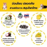 แชมพูหมากลิ่นตัวแรง หาย100% สูตรสับปะรด