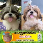 แชมพูหมากลิ่นตัวแรง หาย100% สูตรสับปะรด