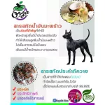 แชมพูสุนัข แก้คัน เกา ขนร่วง บำรุงขน สูตรมังคุด