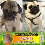 แชมพูหมากลิ่นตัวแรง หาย100% สูตรสับปะรด