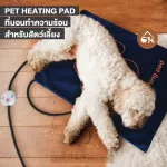Cheapest! Ready to send PET Heating Pad Heating mattress For pets Suitable for newborns Helps to keep the pet warm