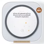 ถูกสุด! พร้อมส่ง PETKIT AIR MAGICUBE เครื่องกำจัดกลิ่นในห้อง กำจัดกลิ่นฉี่ กำจัดเชื้อแบคทีเรีย และไวรัสได้ 99.9%