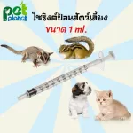 Size 1ml, syringe, syringe syringe, feed feed, syringe, milk feed, cat breastfeeding, squirrels, dogs