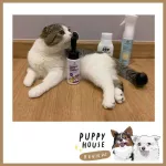 แชมพูอาบน้ำแห้งสุนัขและแมว Hana Pet แชมพูสุนัข แชมพูแมว แชมพูหมา แชมพูอาบน้ำสุนัข แชมพูอาบน้ำแมวแชมพูอาบน้ำหมาขนาด130มล.