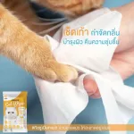 ทิชชู่เปียก สำหรับ แมว Malee Cat wipes ผ้าเปียกสำหรับสัตว์เลี้ยง ผ้าเปียกเช็ดตาแมว ผ้าเปียกเช็ดคราบน้ำตาแมว Cat Wipes