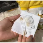 น้ำยาเช็ดหูแมว Pinkpawpal PINK PAW PAL น้ำยาเช็ดหูสุนัข น้ำยาเช็ดหูสัตว์เลี้ยง โลชั่นเช็ดหูแมว สูตร Ear Cleanser