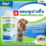 300ml. แชมพูแมว แชมพูสุนัข Kevina Hygienics Shampoo แชมพูสุนัข แชมพูแมว ฆ่าเชื้อแบคทีเรีย เชื้อรา ยีสต์ สูตรอ่อน