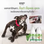 น้ำยาเช็ดหู โลชั่นทำความสะอาดหู สำหรับสัตว์เลี้ยง ใช้ได้ทั้งสุนัขและแมว ช่วยลดกลิ่นและทำให้หูหอม ป้องกันไรหู 50ml. 1ขวด