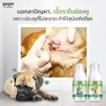 น้ำยาเช็ดหู โลชั่นทำความสะอาดหู สำหรับสัตว์เลี้ยง ใช้ได้ทั้งสุนัขและแมว ช่วยลดกลิ่นและทำให้หูหอม ป้องกันไรหู 50ml. 1ขวด
