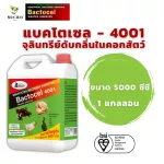 BACTOCEL 4001 Bacozel 4001 Size 5000 ml Microbes Animal deodorant Microbes to eliminate odor, eliminate odors