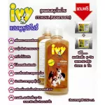 Ivy IVY brown, shampoo and 250ml pets, high quality, mixed with Thai herbs, gentle hair Sparkling, free 2, Yuchin deodorant powder