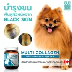 ซื้อ 1 แถม 1 คอลลาเจน 50 g สุนัข แมว บำรุงขนและผิวหนัง ฟื้นฟูสภาพผิวให้แข็งแรง
