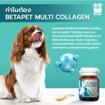ซื้อ 1 แถม 1 คอลลาเจน 20 g สุนัข แมว บำรุงขนและผิวหนัง ฟื้นฟูสภาพผิวให้แข็งแรง BETAPET