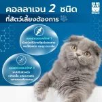 ซื้อ 1 แถม 1 คอลลาเจน 20 g สุนัข แมว บำรุงขนและผิวหนัง ฟื้นฟูสภาพผิวให้แข็งแรง BETAPET