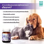 ซื้อ 2 แถม 1 หอยแมลงภู่ MOBILITY 120 เม็ด ฟื้นฟูข้อต่อ ข้อต่อสะโพก ขาอ่อนแรง สุนัข แมว BETAPET