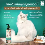ซื้อ 1 แถม 1 แชมพูน้ำมันกัญ 500ml + แปรงอาบน้ำซิลิโคน HAMP SEED OIL สุนัข แมว สูตรอ่อนโยน ลดขนร่วง แก้อักเสบ ขี้เรื้อน