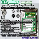 CalMinerแคลมินเนอร์2,000กรัมอาหารเสริมชูการ์ไกเดอร์แคลเซียมและแร่ธาตุรวมบริสุทธิ์ธรรมชาติ100%เข้มข้นเกรดพิเศษส่งฟรี