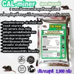 Calminer 2,000 grams of Calminer Calminer, all kinds of rats, calcium and 100%pure natural minerals, special grade concentrated formula, free delivery