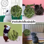 ตะกร้อใส่หญ้าสำหรับกระต่าย ที่ให้หญ้ากระต่าย บอลให้หญ้ากระต่าย หญ้ากระต่าย