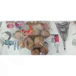 อาหารหนูแฮมเตอร์  ขนมหนูแฮมเตอร์  อาหารนกแก้ว ขนมนกแก้ว อาหารกระรอก ขนมกระรอก อาหารชูก้า ขนมชูก้า ลูกวอลนัท แพ็ค 4 ชิ้น