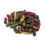 อาหารชูการ์ไกลเดอร์ PETHENG ขนมชูการ์ไกลเดอร์ อาหารชูการ์ ขนมชูการ์ ขนมชูการ์ไรเดอร์ อาหารชูการ์ไรเดอร์ รสแมลง180 g.