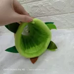 Tunnel tunnel decorations can sleep for squirrels.