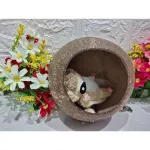 Baan Kala from Ban Niko for small animals Sugar Krader Kru Krathong Chipmunk