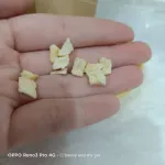 แอปเปิ้ลอบแห้ง  ขนาด 50 กรัม สำหรับสัตว์เลี้ยง ชูการ์ไกรเดอร์ แฮมสเตอร์ กระรอก ดอร์เมาส์ หนู เม่นแคระ