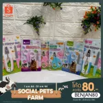 กรรไกรตัดเล็บสัตว์ กรรไกร ชูการ์ไกรเดอร์ กระรอก สัตว์เล็ก