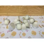 พุดดิ้ง เยลลี่ นมแพะ สำหรับ สัตว์เลี้ยง ชูการ์ไกรเดอร์ หนู แฮมสเตอร์ กระรอก กระต่าย แมว ลิง