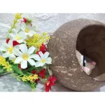 Baan Kala from Ban Niko for small animals Sugar Krader Kru Krathong Chipmunk