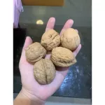 1 delicious fragrance walnut with 5 balls. Price only 40 baht.