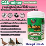 CalMinerแคลมินเนอร์1,000ก.อาหารเสริมไก่เป็ดนกกระทาแคลเซียมและแร่ธาตุเสริมบริสุทธิ์ธรรมชาติ100%เข้มข้นเกรดพิเศษ