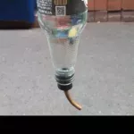 จุกป้อนน้ำกระต่าย จุกให้น้ำกระต่าย ขวดให้น้ำกระต่าย  ขวดน้ำกระต่าย ขวดน้ำหนู  จุกป้อนน้ำกระต่าย จุกน้ำหนู จุกน้ำกระต่าย