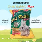 1Kg. อาหารกระต่าย Gold Rabbit Plus+ โกลแรบบิท พลัส อาหารสำหรับ กระต่าย หนูแกสบี้ หนูตะเภา อาหารกระต่ายแบบเม็ด