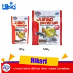 Hikari Jumbo CarnisticKs