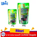 Hikari Cichlid Staid Fish Food