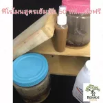 ฟีโรโมน ฉีดล่อชันโรง หมักอย่างดี ส่วนผสมเข้มข้น ใช้แล้วเห็นผล ทำเองโดยเจ้าของฟาร์ม การันตีผลการเลี้ยงจากฟาร์ม