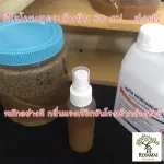 ฟีโรโมน ฉีดล่อชันโรง หมักอย่างดี ส่วนผสมเข้มข้น ใช้แล้วเห็นผล ทำเองโดยเจ้าของฟาร์ม การันตีผลการเลี้ยงจากฟาร์ม