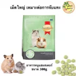 300กรัม อาหารหนูแฮมเตอร์ Smartheart Complete and Balanced Hamster Food อาหารหนูแฮมสเตอร์ อาหาร หนูแฮมเตอร์ สมาร์ทฮาร์ท