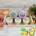 อาหารเหลว อาหารเสริม ซุปสำเร็จรูป มี 6 รส สำหรับ แฮมสเตอร์ ชูการ์ไกรเดอร์ กระรอก