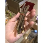 ขนมสัตว์สำหรับสัตว์เลี้ยง ชูก้า เม่นแคระ กระต่าย กระรอก แฮมเตอร์ ฯลฯ