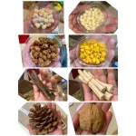 ขนมสัตว์สำหรับสัตว์เลี้ยง ชูก้า เม่นแคระ กระต่าย กระรอก แฮมเตอร์ ฯลฯ