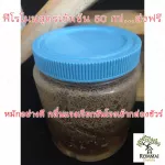 ฟีโรโมน ฉีดล่อชันโรง หมักอย่างดี ส่วนผสมเข้มข้น ใช้แล้วเห็นผล ทำเองโดยเจ้าของฟาร์ม การันตีผลการเลี้ยงจากฟาร์ม