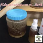 ฟีโรโมน ฉีดล่อชันโรง หมักอย่างดี ส่วนผสมเข้มข้น ใช้แล้วเห็นผล ทำเองโดยเจ้าของฟาร์ม การันตีผลการเลี้ยงจากฟาร์ม