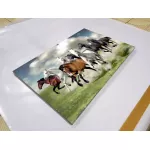 รูปม้ามงคล 8 ตัววิ่งบนทุ่งหญ้า รูปม้ามงคลติดผนัง รูปม้าปรับฮวงจุ้ย เรียกทรัพย์ เสริมบารมี ภาพกรอบลอยพร้อมแขวน มีให้เลือก 3 ขนาด S,M,L