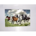 รูปม้ามงคล 8 ตัววิ่งบนทุ่งหญ้า รูปม้ามงคลติดผนัง รูปม้าปรับฮวงจุ้ย เรียกทรัพย์ เสริมบารมี ภาพกรอบลอยพร้อมแขวน มีให้เลือก 3 ขนาด S,M,L